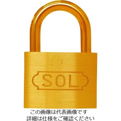 清水 SOL NO.2500 共通同一錠 45 2500SK-45 1個 849-0153（直送品）