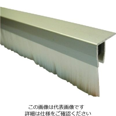 バーテック BURRTEC バーストリップブラシ F950ー1000 PP0.2 黒 26513100 1本 805-1523（直送品）