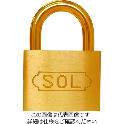 清水 SOL NO.2500 共通同一錠 50 2500SK-50 1個 849-0154（直送品）