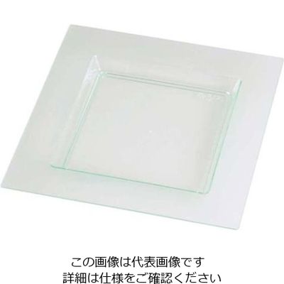 ソリア ディアマンテプレート クリアグリーン PS30410(25入)112.5×112.5 61-6774-81 1組(25個)（直送品）