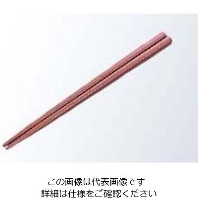 蝶プラ工業 金剛箸 19cm レッド PPS製 61-6769-47 1組（直送品）