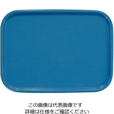橋本達之助工芸 カラーコレクショントレー M アクアブルー 61-6810-65 1個（直送品）