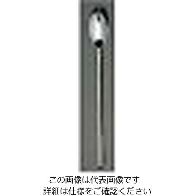 ワダコーポレーション 18ー10 ティファニー メロンスプーン 61-7627-12 1個（直送品）