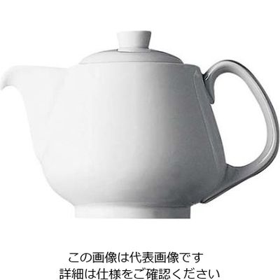 リック ローゼンタール ティーポット 1人用 34211 61-7987-84 1個（直送品）