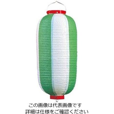 江部松商事 長 ビニール提灯 9号 緑/白 61-8005-17 1個（直送品）