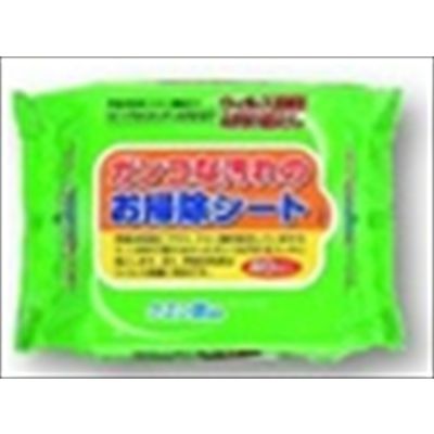ペーパーテック ガンコな汚れのお掃除シート 40枚 4580131000545 1個(40枚)（直送品）