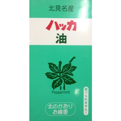 カメヤマ 北のかおりハッカ油 ミニ寸線香 73g 4901435872056 1個(50G)（直送品）