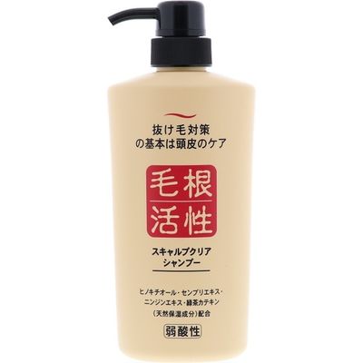 ジュン・コスメティック スキャルプクリアシャンプー 4964653101247 1個(550ML)（直送品）