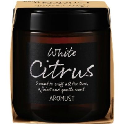 晴香堂 アロマスト ホワイトシトラス 4976363125673 1個(160ML)（直送品）