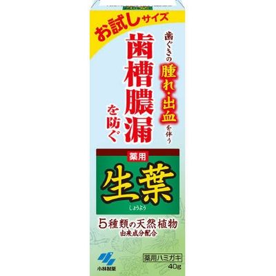 小林製薬 生葉c お試しサイズ 4987072030073 1個(40G)（直送品）