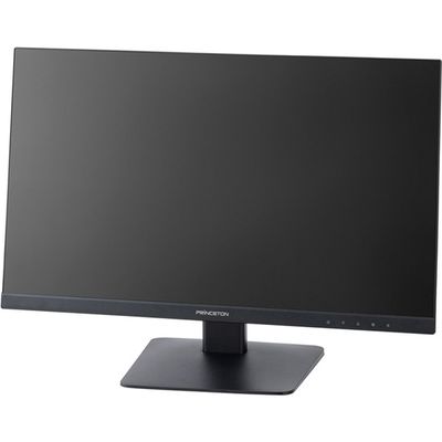 ２３．８型／１９２０×１０８０／ＨＤＭＩ　ＤーＳｕｂ　ＤｉｓｐｌａｙＰｏｒｔ　／ブラック／スピーカー：あり PTFBLD-24W 1台 プリンストン（直送品）