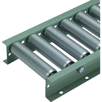 タイヨー TRーL5016型 ローラー幅100W×P200MM×機長3000MM フレーム[型 L5016-100-200-3000 1台（直送品）