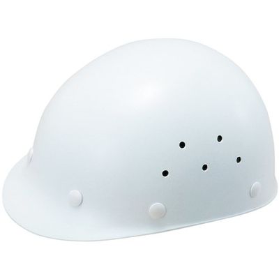 1360=DPZ-W1（直送品）