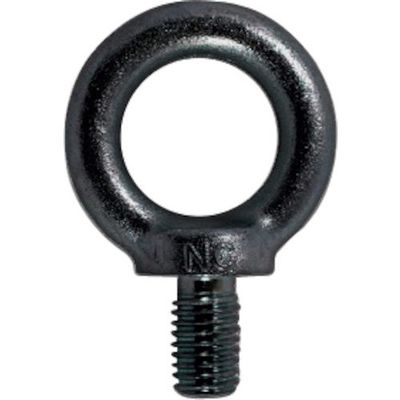 大洋製器工業 TAIYO アイボルト 黒 Wー5/16(1025232) 1025232 1個 460-7327（直送品）