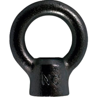 大洋製器工業 TAIYO アイナット 黒 Wー5/16(1025534) 1025534 1個 460-7334（直送品）