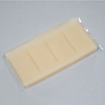 レジーナ 皮膚縫合用トレーニングプレート 24-6956-00（直送品）