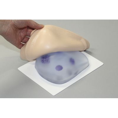 レジーナ 乳がん触診モデル（カバータイプ） 24-6961-00（直送品）