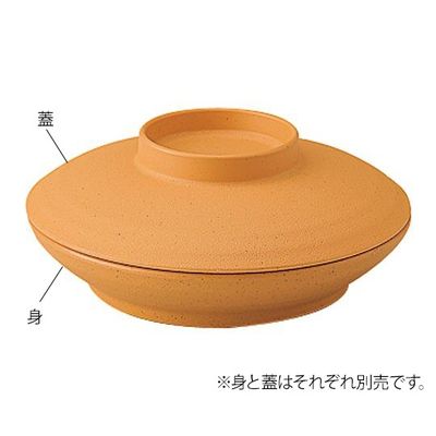 信濃化学工業 業務用樹脂食器 凛 深皿 身 こはく 5009-KK 1個 7-5933-09（直送品）