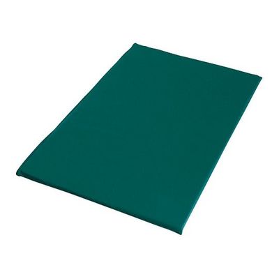 GAC D.C.パッド タイプXL グリーン 7-5497-03 1個（直送品）