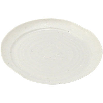 ニシキ 実（36）本体 石焼 2231361030 60枚（10×6）（直送品）