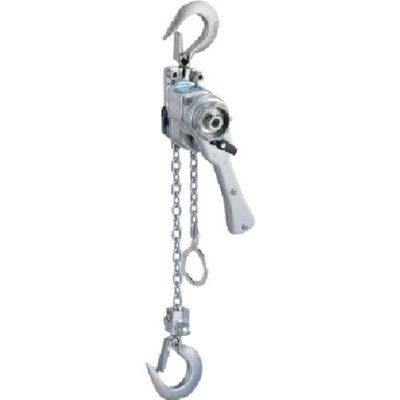 バイタル工業 バイタル ナイスレバーNR2 0.25t NR2-03 1台 851-5685（直送品）