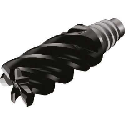 サンドビック SANDVIK コロミル316 フライス加工用超硬ヘッド(345) 1745 A316-12FL642-05023L 1個（直送品）