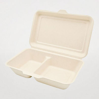 パックスタイル バガス容器 WBランチ 240-150-2 ラミ 00686420 1袋(50個)（直送品）