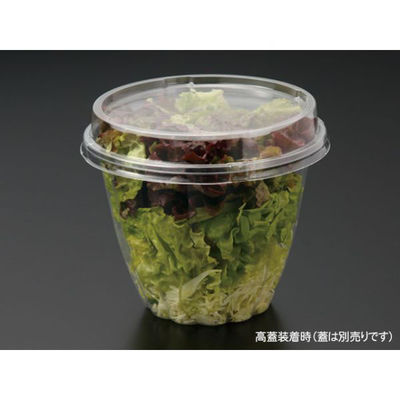 パックスタイル 麺・スープ容器 33ozサラダ 本体 534555 1袋(50個)（直送品）