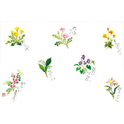 カミイソ産商 テーブルマット 尺3寸 No.308 春野の花 72000308 1袋(100枚)（直送品）