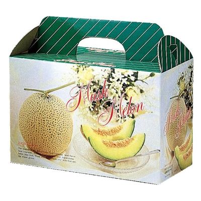 ヤマニパッケージ 青果用贈答箱 メロンフラワー2ヶ入 L-202B 50箱（10箱×5）（直送品）