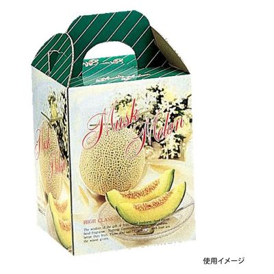 ヤマニパッケージ 青果用贈答箱 メロンフラワー1ヶ入 L-201B 100箱（10箱×10）（直送品）