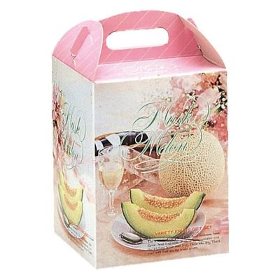 ヤマニパッケージ 青果用贈答箱 ドリームメロン1ヶ入 L-200B 100箱（10箱×10）（直送品）