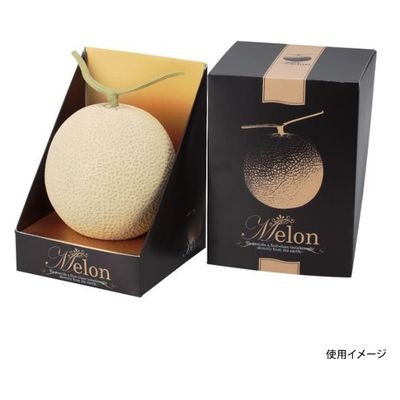ヤマニパッケージ 青果用贈答箱 メロン飾1ヶ入ブラックL L-2210 100箱（10箱×10）（直送品）
