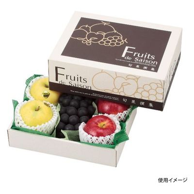 ヤマニパッケージ  青果用贈答箱 L-2247 旬果撰集 小 A L-2247 50箱(10箱×5)（直送品）