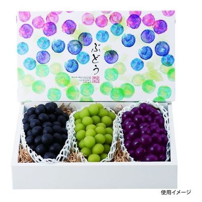 ヤマニパッケージ 青果用贈答箱 彩りぶどう3房 L-2369 40箱（10箱×4）（直送品）
