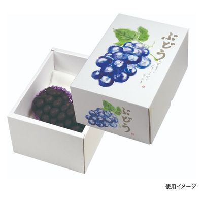 ヤマニパッケージ  青果用贈答箱 L-2388 もぎたてのぶどう150H L-2388 40箱(10箱×4)（直送品）