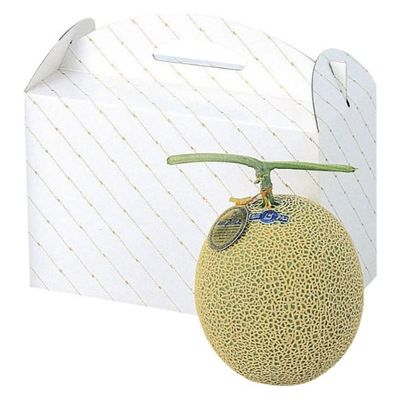 ヤマニパッケージ  青果用贈答箱 L-255 金線メロン2ヶ入 L-255 100箱(10箱×10)（直送品）