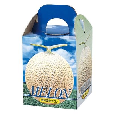 ヤマニパッケージ 青果用贈答箱 ピュアメロン1ヶ入 L-339 100箱（10箱×10）（直送品）