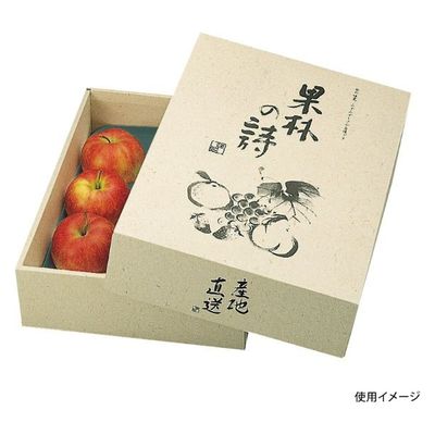 ヤマニパッケージ  青果用贈答箱 L-293 果林の詩 L-293 40箱(10箱×4)（直送品）