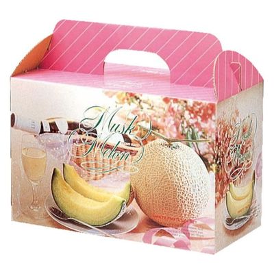 ヤマニパッケージ 青果用贈答箱 ドリームメロン2ヶ入 L-294B 50箱（10箱×5）（直送品）