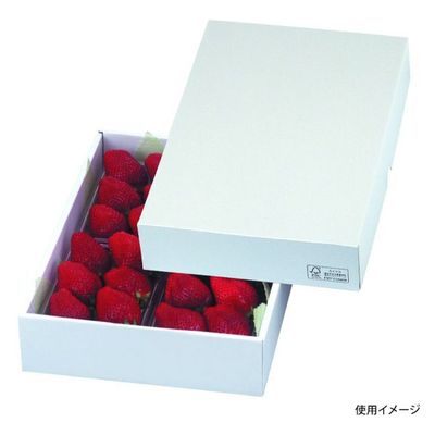 ヤマニパッケージ 青果用贈答箱 パール27 FS LTO-27FS 50箱（25箱×2）（直送品）