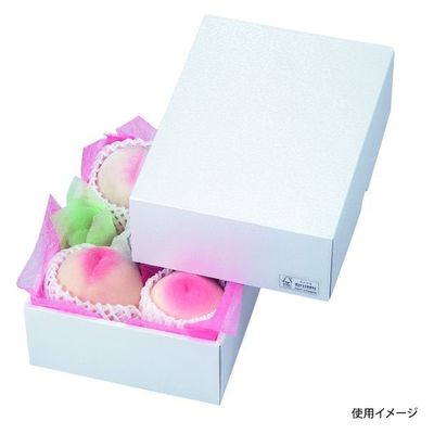 ヤマニパッケージ 青果用贈答箱 パール22 FS LTO-22FS 50箱（25箱×2）（直送品）
