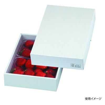 ヤマニパッケージ 青果用贈答箱 パール28 FS LTO-28FS 50箱（25箱×2）（直送品）