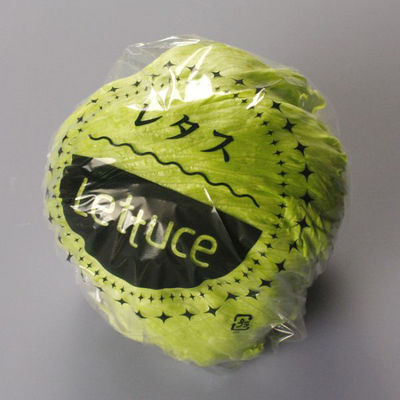 ベルグリーンワイズ 青果用袋 レタス規格袋OPP15# 450角 レタス ポス無 51501 1袋(1000個)（直送品）