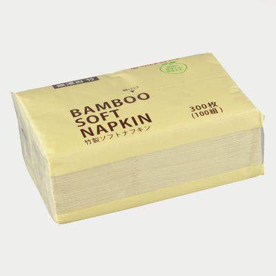 パックスタイル 紙ナフキン BBソフトナフキン 300枚/100組 617496 1袋(1個)（直送品）