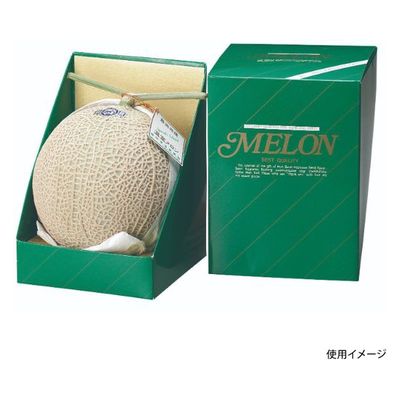 ヤマニパッケージ  青果用贈答箱 L-129S ヒナダングリーン1ヶ入S L-129S 100箱(10箱×10)（直送品）