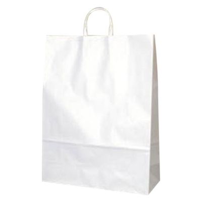 パックタケヤマ 紙袋 手提袋 HV100 晒 無地 68905 1袋(50個)（直送品）