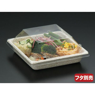 パックスタイル バガス容器 WB 14-14 604002 1袋(50個)（直送品）