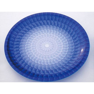 ニシキ 刺身・鮮魚容器 D-30 菊花  2100305250 1袋(10枚)（直送品）