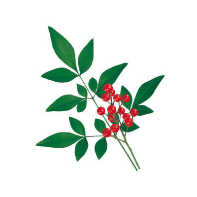 ユニバース フィルムケース グルメシート 南天 丸 10801 1袋(1000個)（直送品）